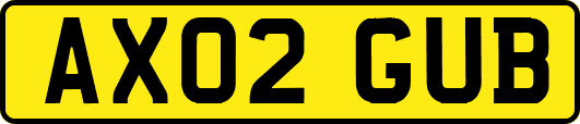 AX02GUB