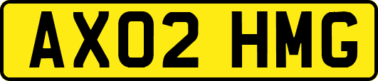 AX02HMG