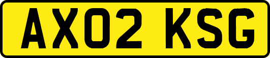 AX02KSG