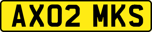 AX02MKS