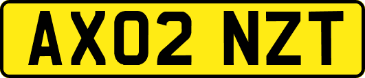 AX02NZT