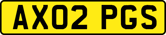 AX02PGS
