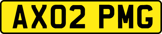 AX02PMG