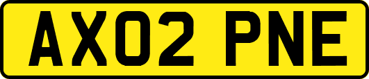 AX02PNE