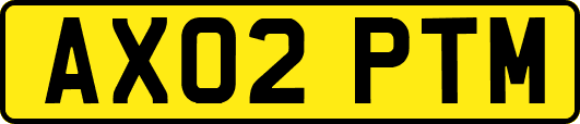 AX02PTM