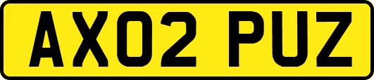 AX02PUZ