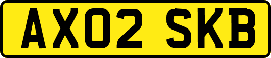 AX02SKB