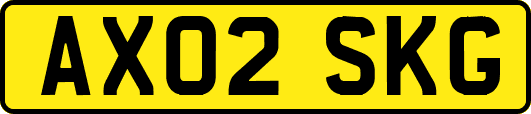 AX02SKG
