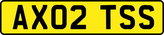 AX02TSS