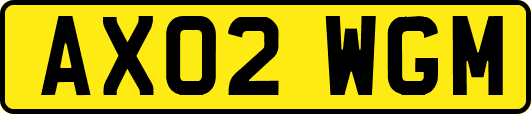 AX02WGM