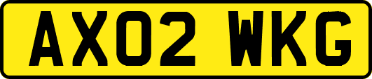 AX02WKG
