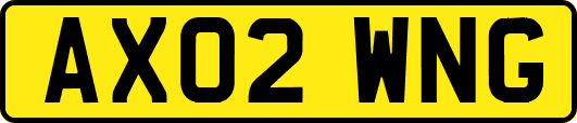 AX02WNG