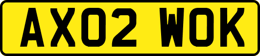 AX02WOK