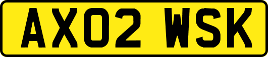 AX02WSK