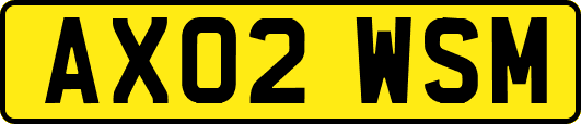 AX02WSM