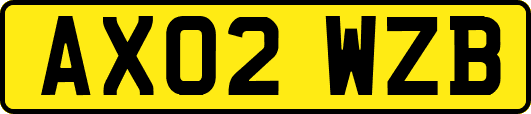 AX02WZB