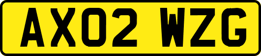 AX02WZG