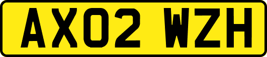 AX02WZH
