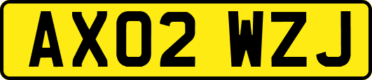 AX02WZJ