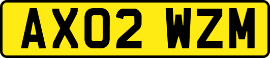 AX02WZM