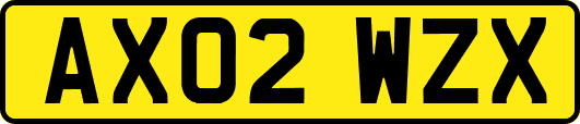 AX02WZX
