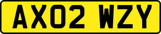 AX02WZY