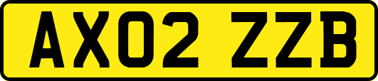 AX02ZZB