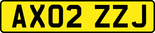 AX02ZZJ