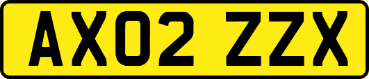 AX02ZZX
