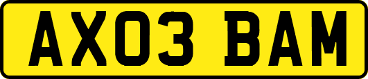 AX03BAM