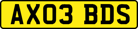 AX03BDS