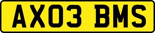 AX03BMS