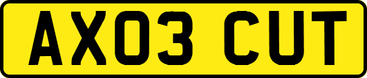 AX03CUT