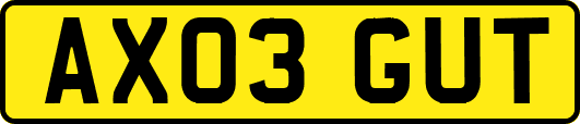 AX03GUT