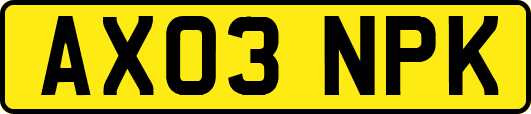 AX03NPK