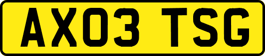 AX03TSG