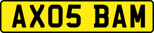 AX05BAM