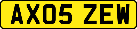 AX05ZEW