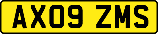 AX09ZMS