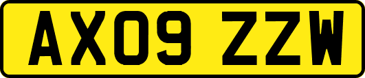 AX09ZZW