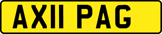AX11PAG