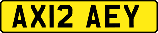 AX12AEY
