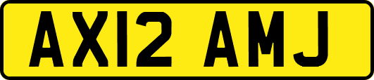 AX12AMJ