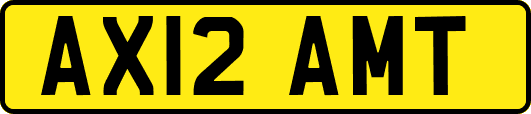 AX12AMT