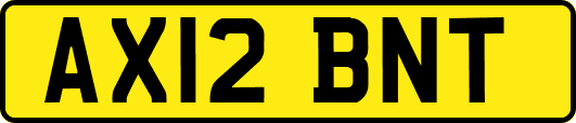 AX12BNT