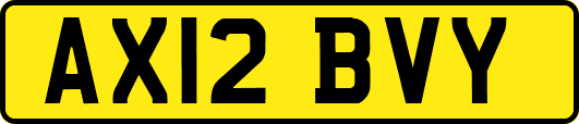 AX12BVY