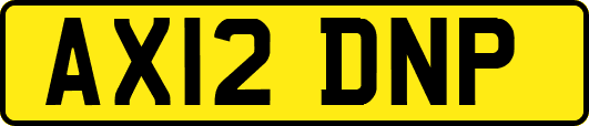 AX12DNP