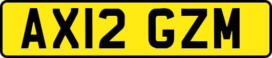 AX12GZM
