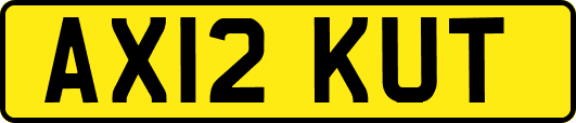 AX12KUT