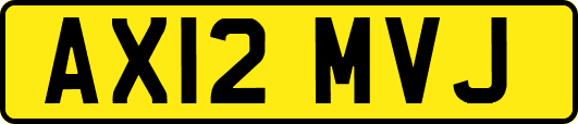 AX12MVJ